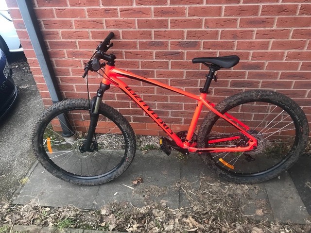 specialized large frame size